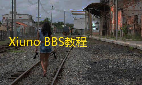 码 帖子的 BBS教各种调用代程基础篇